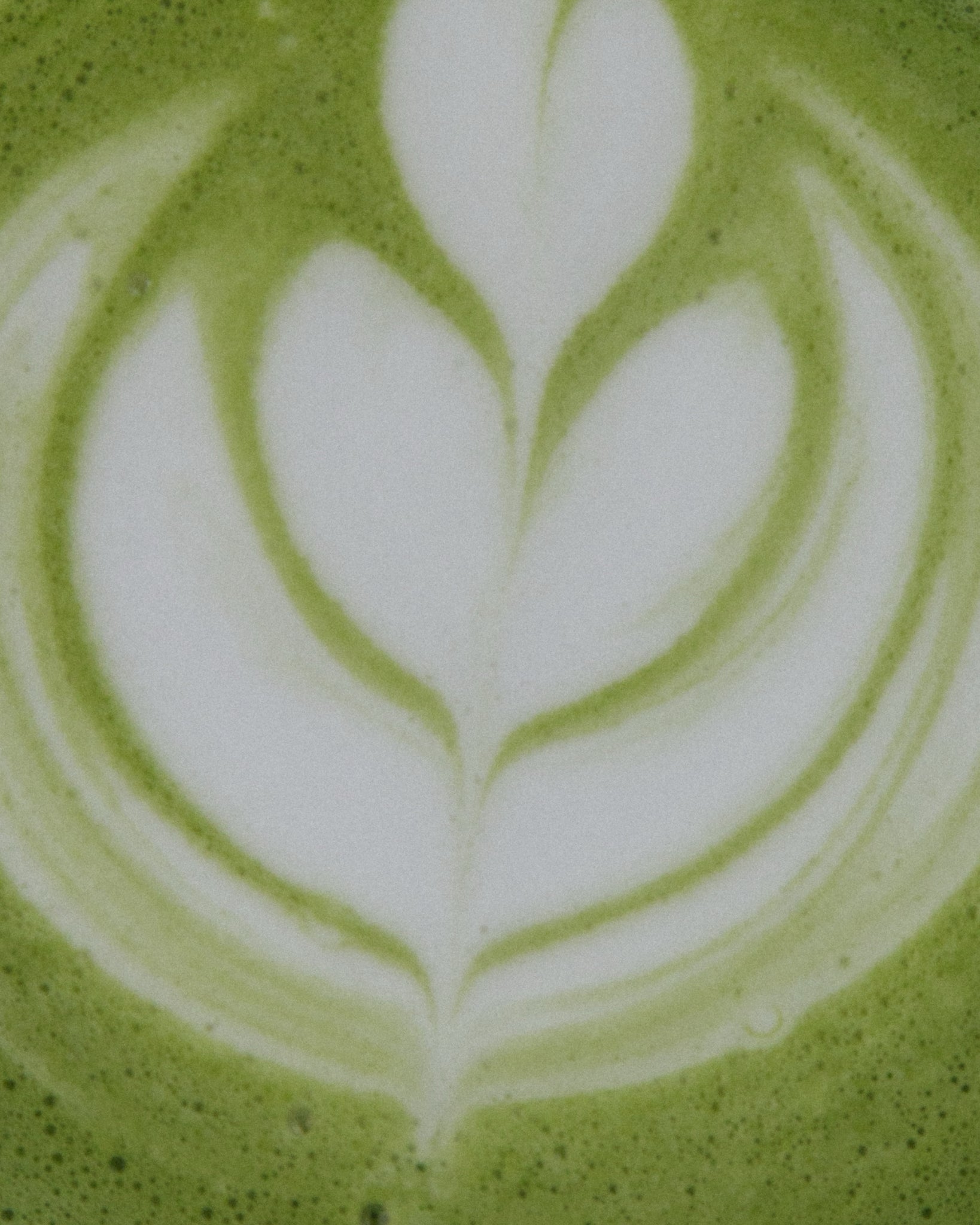 Barista Matcha