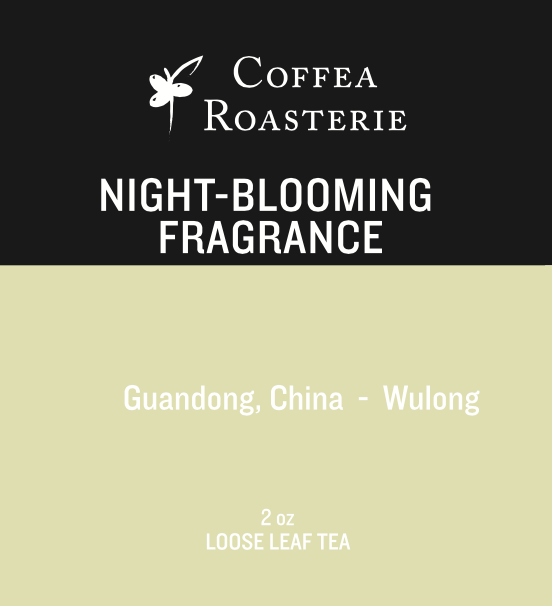 Night-Blooming Fragrance